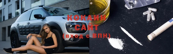 крисы Баксан