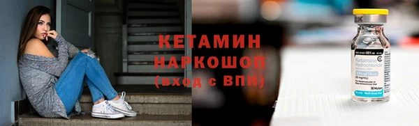 крисы Баксан