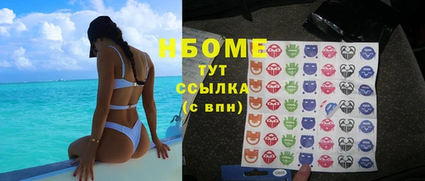 крисы Баксан