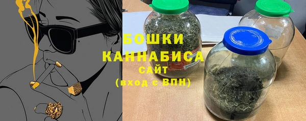 крисы Баксан